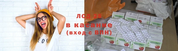 ГАЛЛЮЦИНОГЕННЫЕ ГРИБЫ Балахна