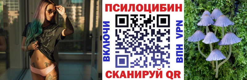 купить наркотик  Верхняя Салда  гидра ССЫЛКА  Псилоцибиновые грибы прущие грибы 